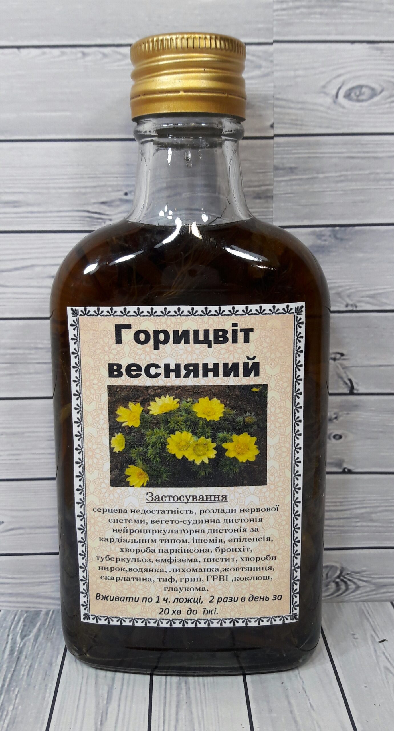 горицвіт весняний